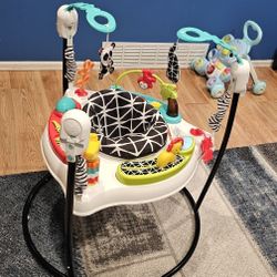 Fisher-Price Baby Bouncer 
