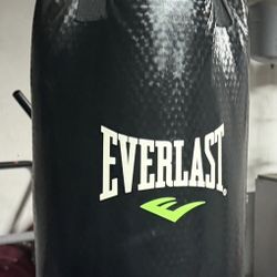 Everlast punching Bag