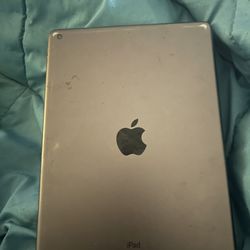 iPad 