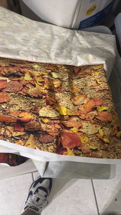 Various Photography Backdrops - Price Negotiable 