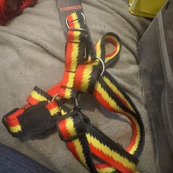 The Hundreds + Zee Dog Large Harnes