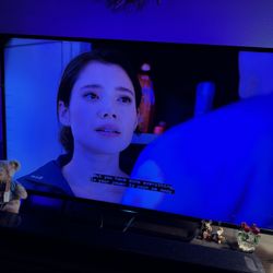 Sony Bravia 55 Inch Tv 4K 