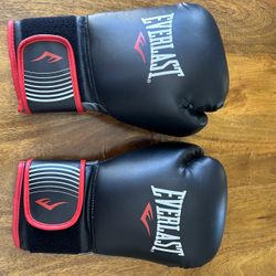 Everlast Boxing Gloves