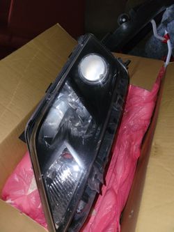 Fusion Headlights 