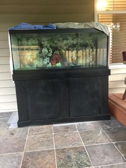 Fish tank