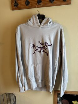 Palace x Arcteryx Hoodie