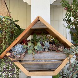 Wooden House Planter With real Succulent Plants 