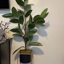 Fake Plant With Stand