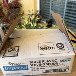 box with 60 black plastic serving spoons