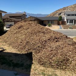 Free Wood Chips/ Free Mulch