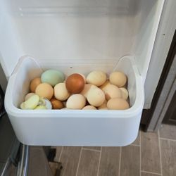 Huevos  De Gallinas Araucanas