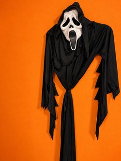 Ghostface Scream Halloween Costume with Mask