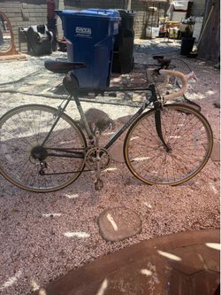 Vintage Fuji bicycle
