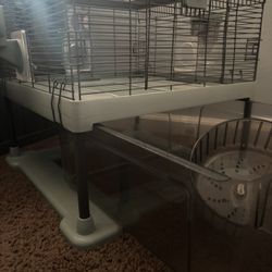 Hamster cage