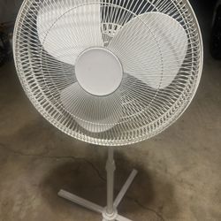 Fan