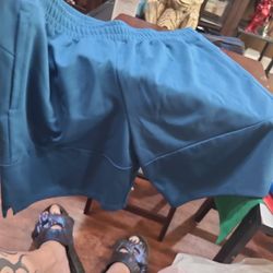 Puma SE Puma Way 1 DE-91074 Shorts

