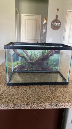 Aquarium 10 Gallons