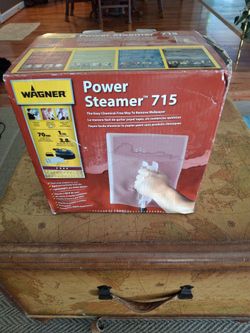 Wagner power steamer