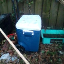 Cup Holding Cooler. Double Opening Flip Top