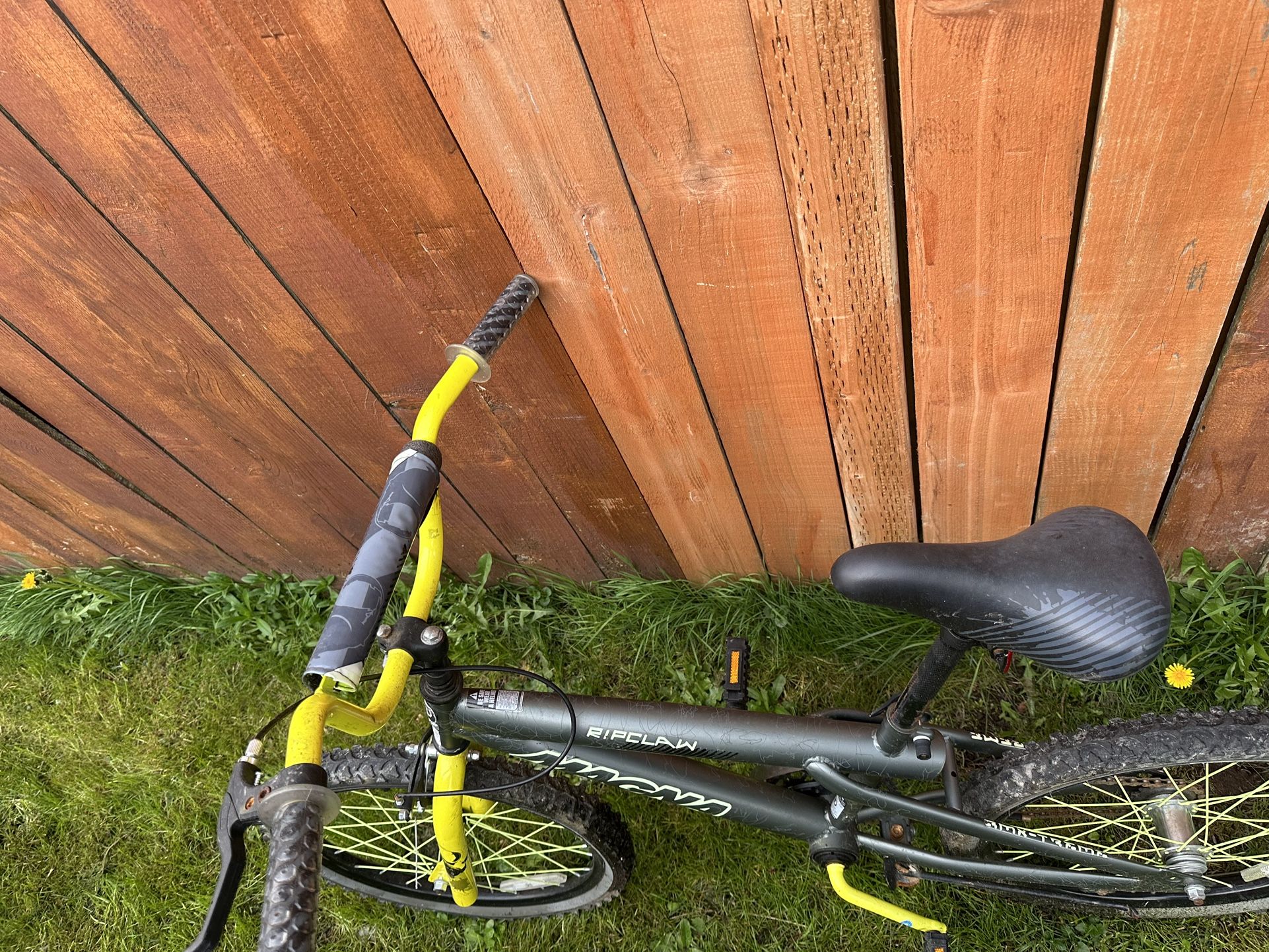 Green Bike