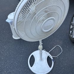 White Fan