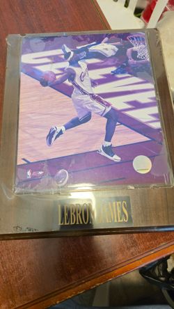 Lebron james potrait