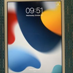 Apple iPad Mini 4th Generation 128GB Unlocked Like New!