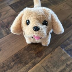 Cute Little Barking Puppy 