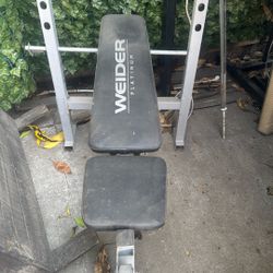 Weight Bench 