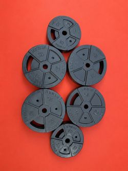 Fitness gym plates 15lbs x 4 10.lbs x 2