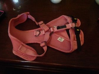 New Petco dog harness