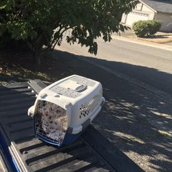 Small Dog Cat Rabbit Bunny Kennel Crate Carrier Like New 20” L by 10” W by 10” H