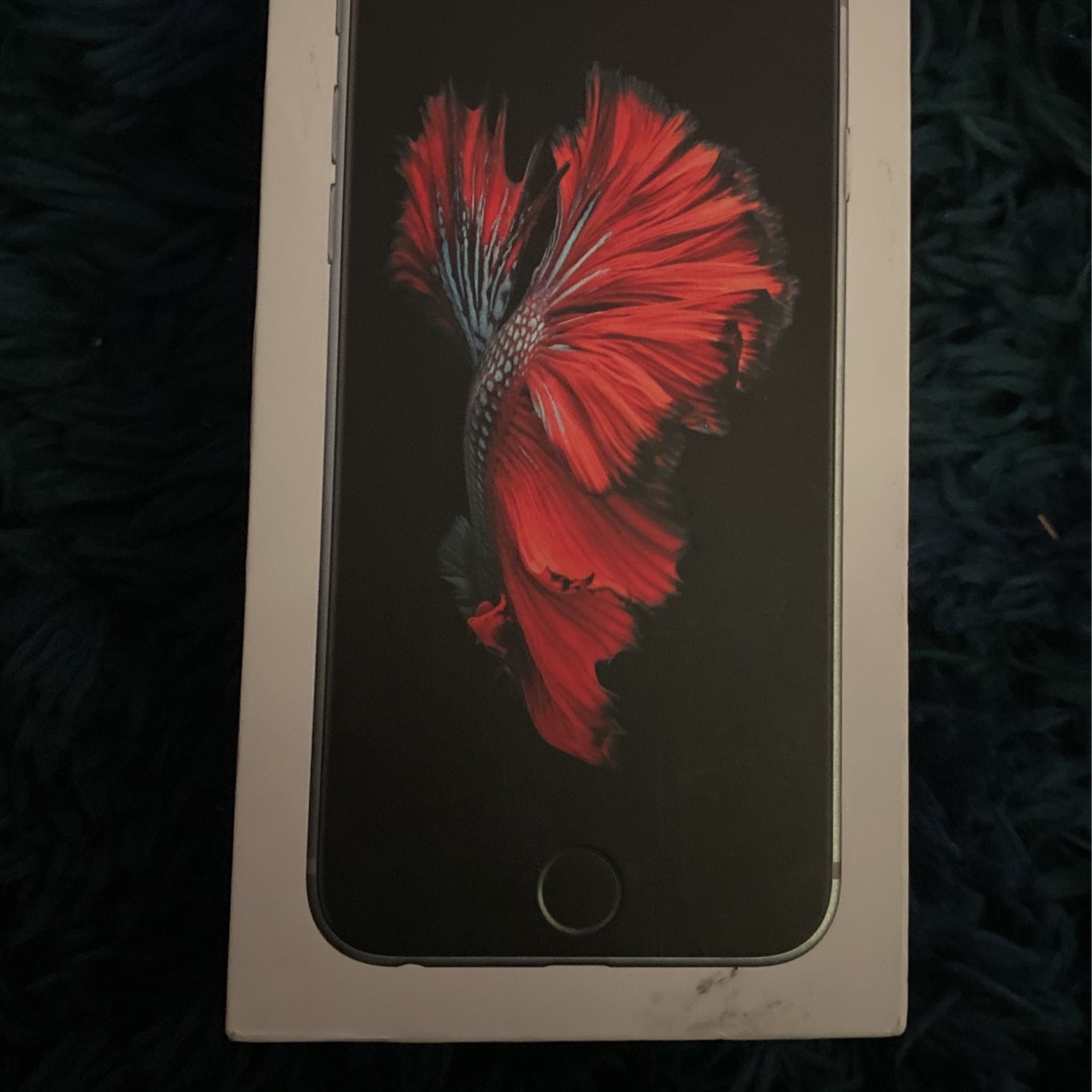 iphone 6 box