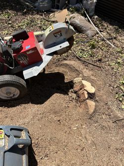 Stump/ Tree Grinder