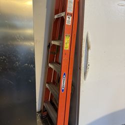 Werner 6ft Ladder