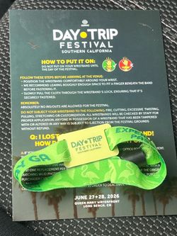 Day trip Sunday wristband