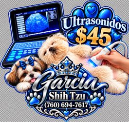 Ultrasound