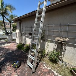20ft Louisville ladder 
