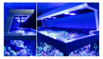 Red Sea MAX Reef Aquarium Light Canopy