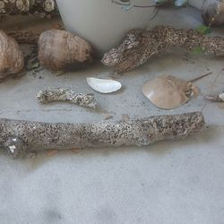 Aquarium Natural Driftwood