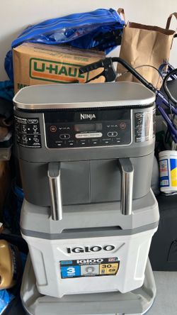 The Ninja Foodi DualZone 2-Basket Air Fryer (Model DZ201 / DZ100 series)