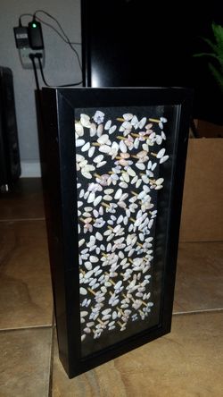 Shadow Box with Shells