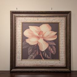 Framed Print of Flower