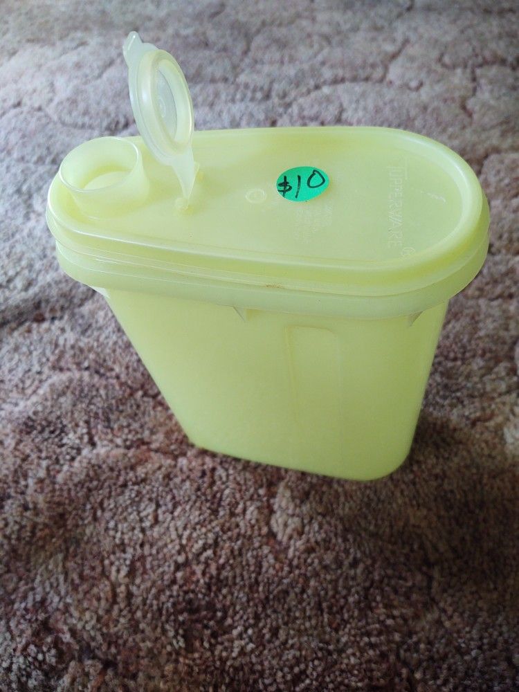 Vintage Tupperware Container