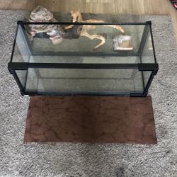 Lizard Tank With  Accessories With Double Sided Mat/ 20’’ Tank