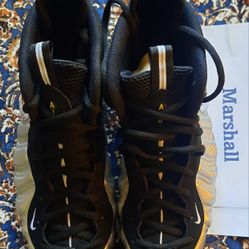 Brand New Nike Air Foamposite Pro Size 14