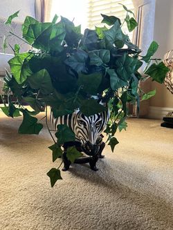 Exotic zebra planter