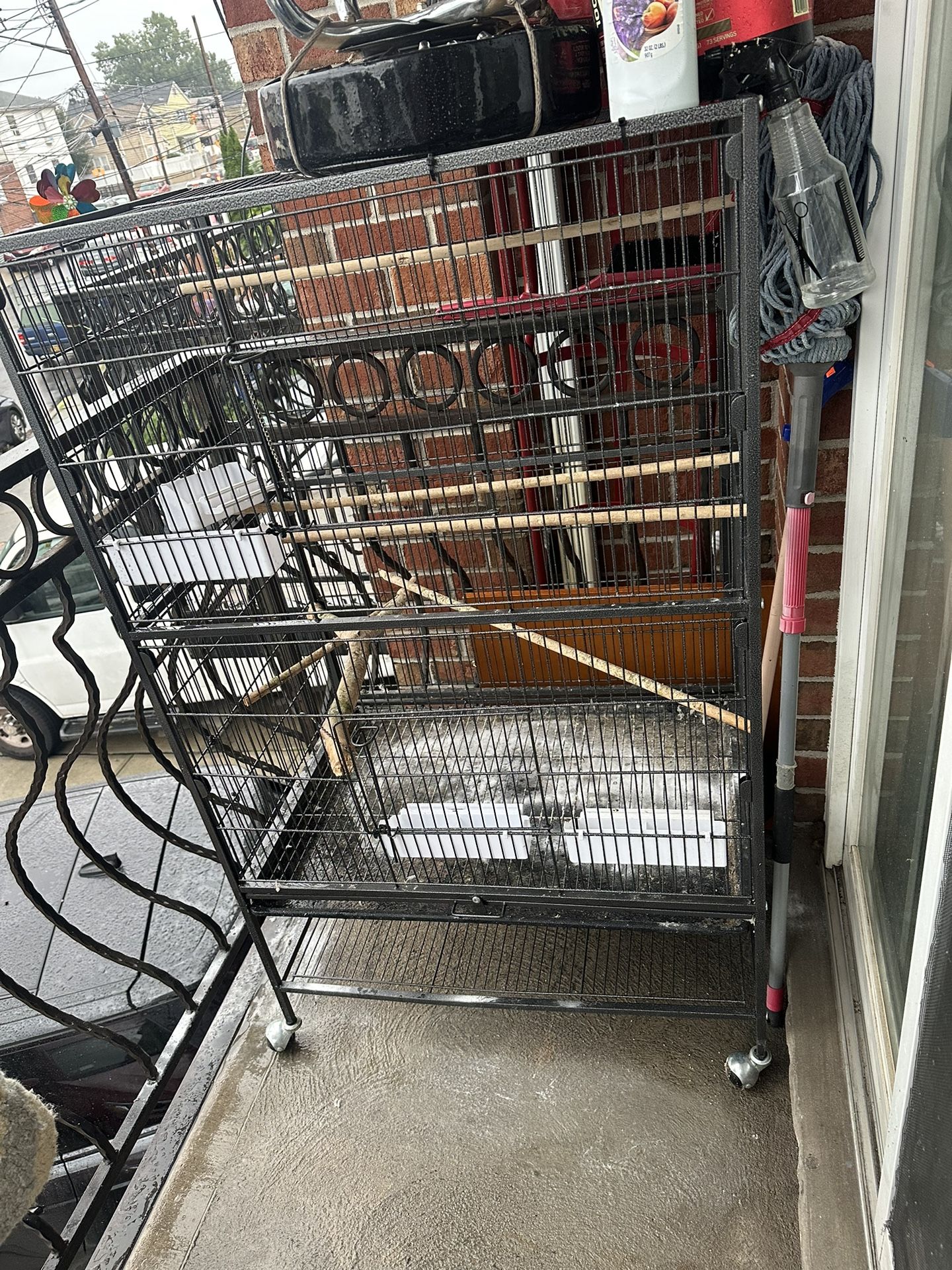Bird Cage