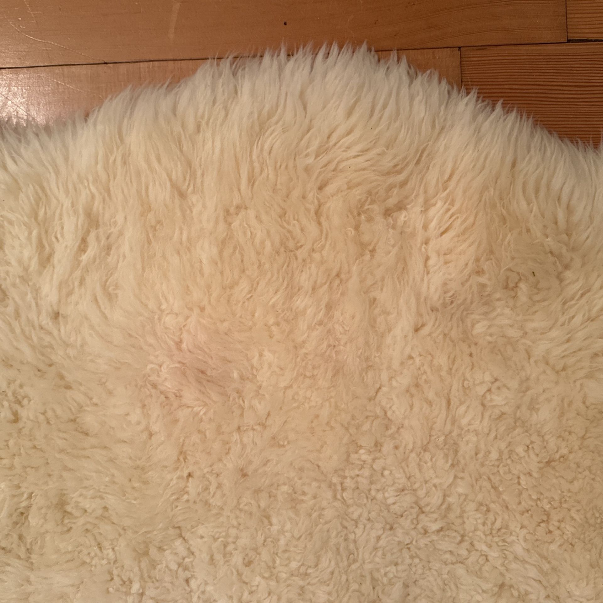 Large Sheepskin Rug for Sale in Puyallup, WA OfferUp