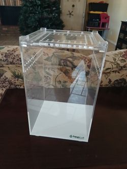 6×6×9 1/2 Really Nice Acrylic Enclosure For Invertibtates!